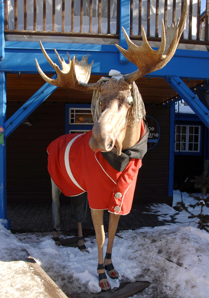 2007 Sundance Film Festival: Dramas